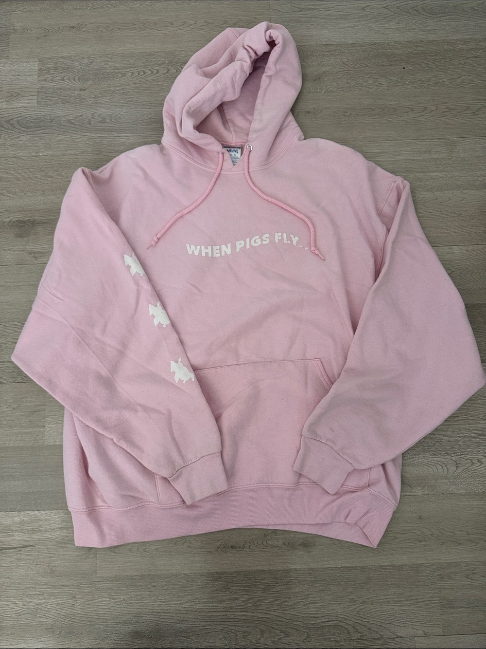 Pink "When Pigs Fly" Pullover Hoodie